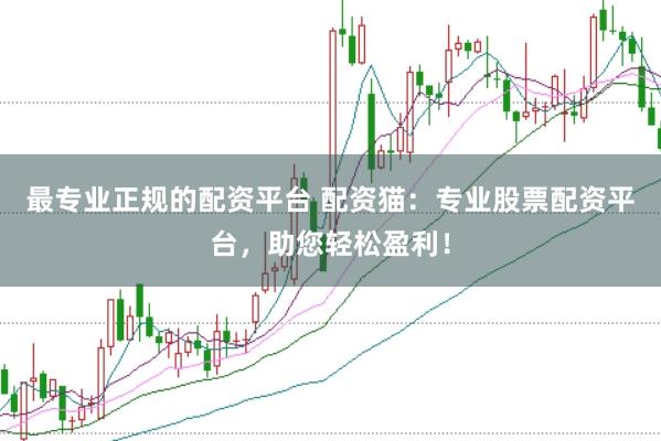 最专业正规的配资平台 配资猫：专业股票配资平台，助您轻松盈利！