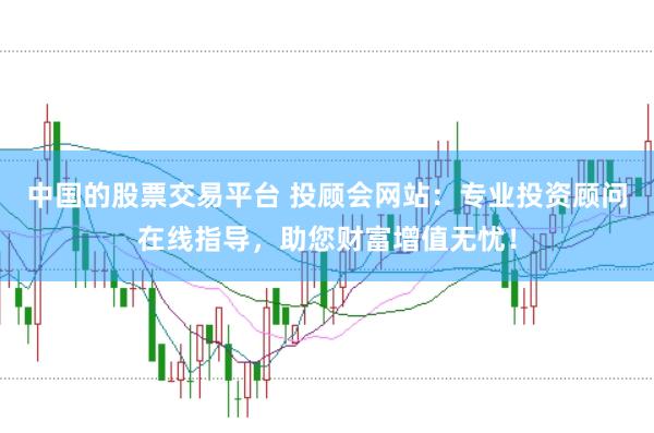 中国的股票交易平台 投顾会网站：专业投资顾问在线指导，助您财富增值无忧！