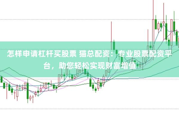 怎样申请杠杆买股票 猫总配资：专业股票配资平台，助您轻松实现财富增值