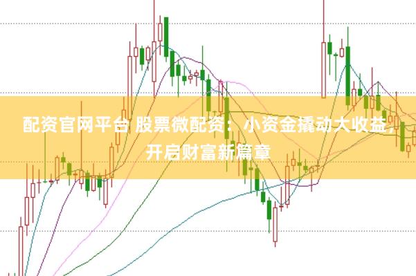 配资官网平台 股票微配资：小资金撬动大收益，开启财富新篇章