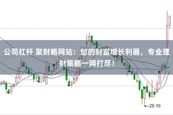 公司杠杆 聚财略网站：您的财富增长利器，专业理财策略一网打尽！