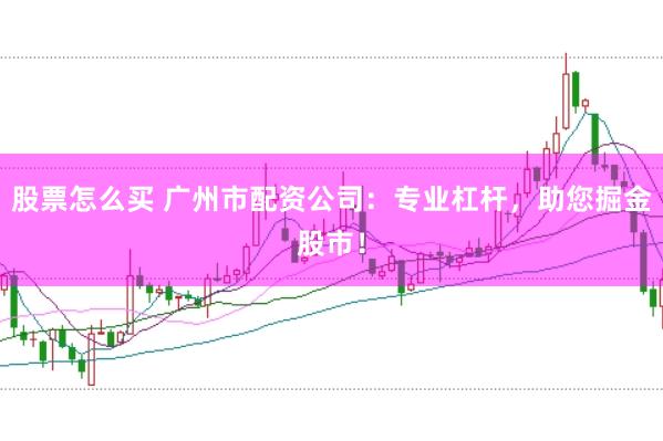 股票怎么买 广州市配资公司：专业杠杆，助您掘金股市！