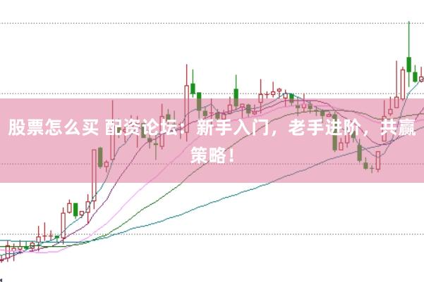 股票怎么买 配资论坛：新手入门，老手进阶，共赢策略！