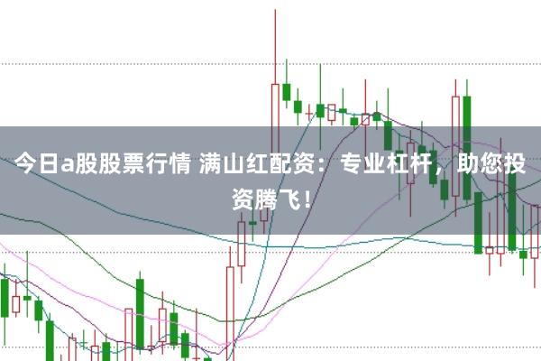 今日a股股票行情 满山红配资：专业杠杆，助您投资腾飞！