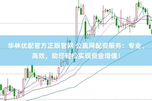 华林优配官方正版官网 公赢网配资服务：专业、高效，助您轻松实现资金增值！