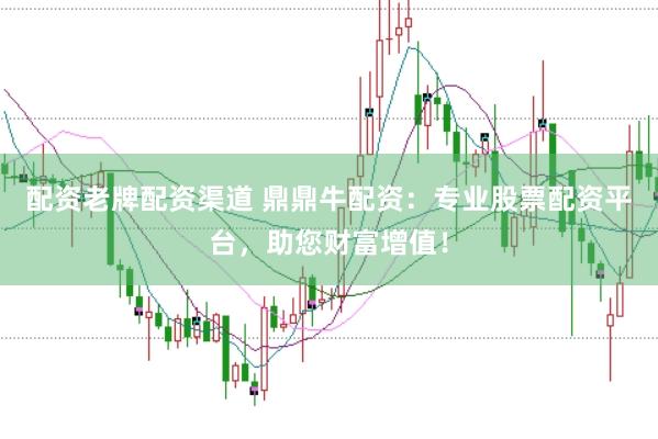 配资老牌配资渠道 鼎鼎牛配资：专业股票配资平台，助您财富增值！