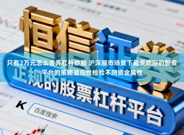 只有2万元怎么去弄杠杆炒股 沪深股市场景下最受欢迎的配资平台的策略适应性检验不同资金属性